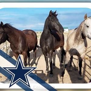 Meet your Posher, Stefanie